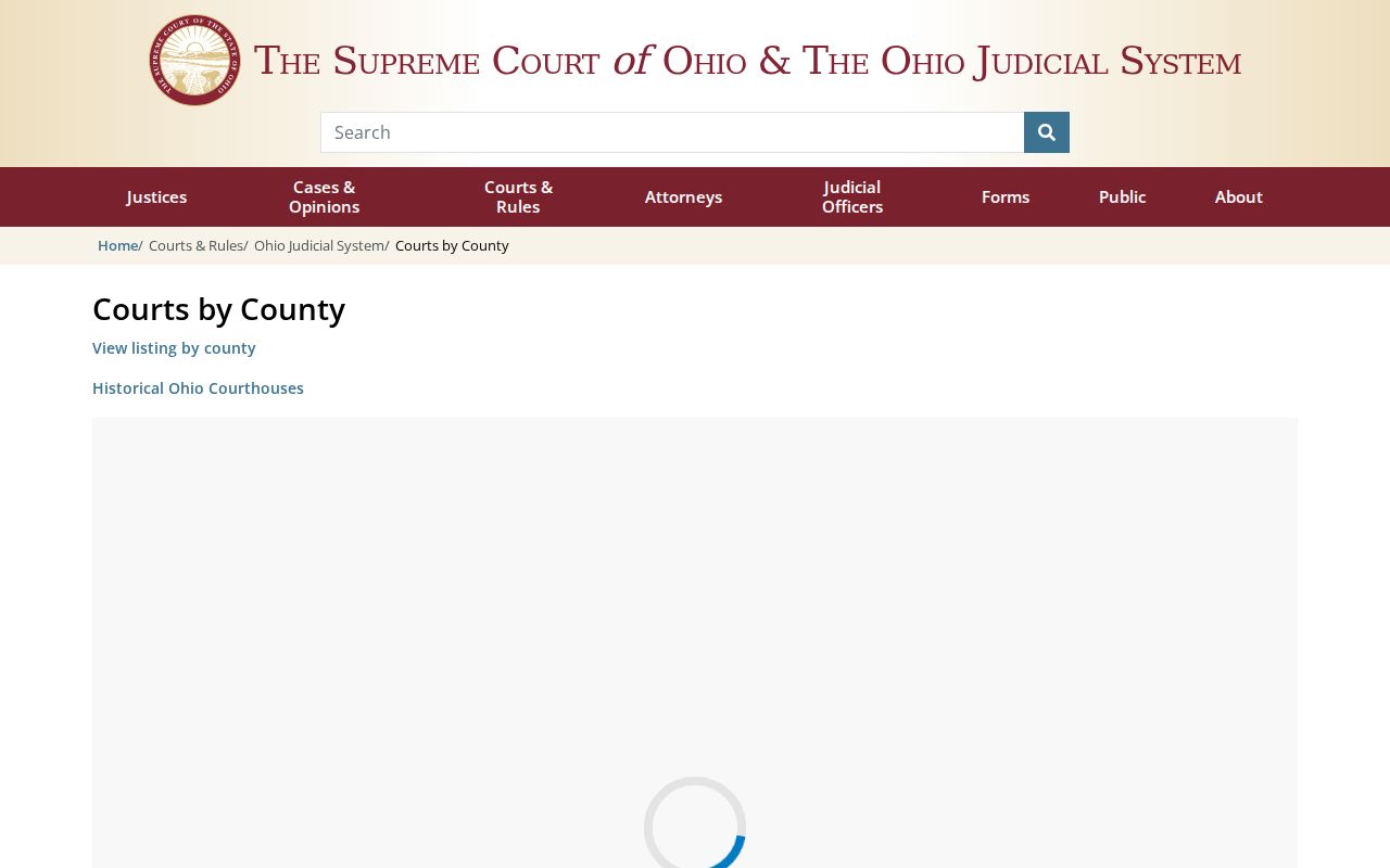 Mercer County court docket Ohio trial courts source